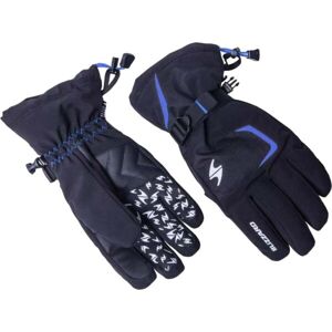 Blizzard REFLEX SKI GLOVES Lyžařské rukavice, černá, velikost