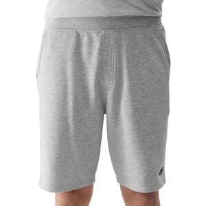 4F SHORTS BASIC Pánské kraťasy, šedá, velikost