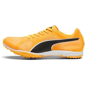 Puma EVOSPEED HARAKA 8 Unisex tretry, oranžová, velikost 42.5