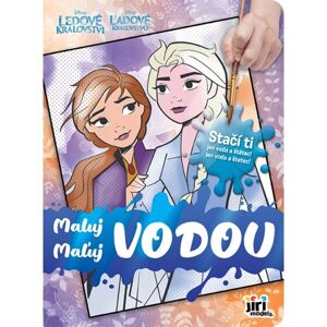 Disney MALUJ VODOU LEDOVÉ KRÁLOVSTVÍ Omalovánky, mix, velikost