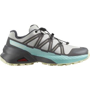 Salomon SPEEDCROSS PEAK W Dámská obuv na trailový běh, šedá, velikost 40