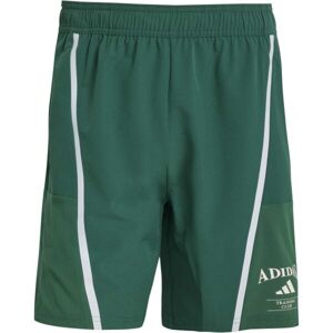 adidas DESIGNED-FOR-TRAINING LEGACY SHORTS Pánské kraťasy, tmavě zelená, velikost
