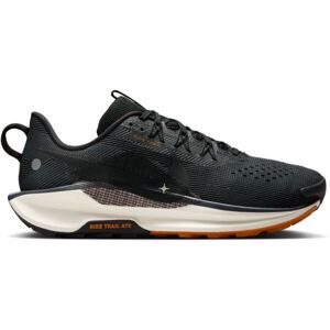 Nike PEGASUS TRAIL 5 Pánské běžecké boty, černá, velikost 43