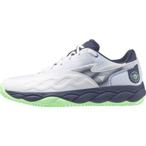 Mizuno WAVE ENFORCE TOUR CC Pánská tenisová obuv, bílá, velikost 43