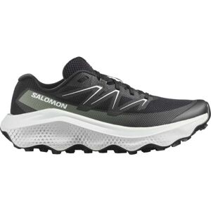Salomon ULTRA FLOW 2 Pánská obuv na trailový běh, černá, velikost 41 1/3