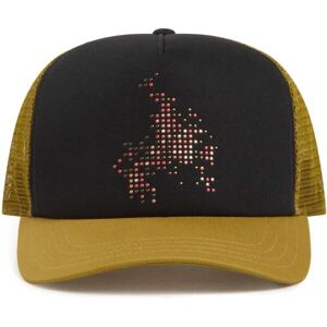 Vans SKATE FLAME TRUCKER Pánská kšiltovka, černá, velikost
