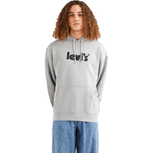 Levi's® T2 RELAXED GRAPHIC PO MV LOGO Pánská mikina, šedá, velikost