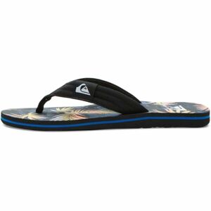 Quiksilver MOLOKAI LAYBACK II Pánské žabky, mix, velikost 39