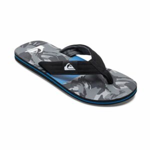 Quiksilver MOLOKAI LAYBACK II Pánské žabky, černá, velikost 40