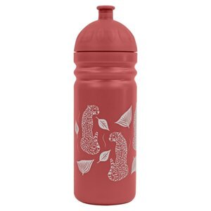 Zdravá lahev R&B Gepard 700ml