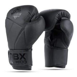 Boxerské rukavice DBX BUSHIDO B-2v15B Velikost: 14oz.