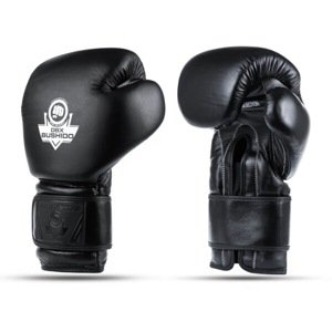 Boxerské rukavice DBX BUSHIDO B-ProFight Velikost: 12oz.