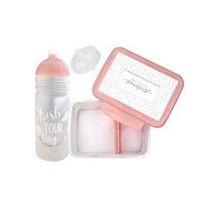 Set R&B box a lahev FRESH 2v1 růžová 700ml