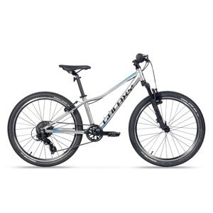Kolo GALAXY PAVO 24" stříbrné