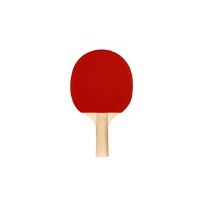 Recreant pálka na stolní tenis, 1 ks